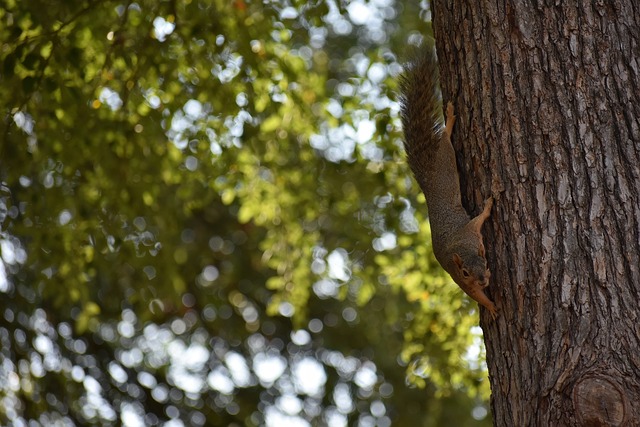 这很有可能 这很有可能