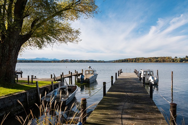 比赛中争夺 比赛中争夺