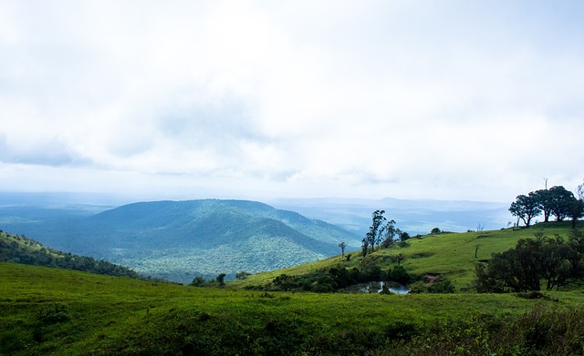 行动创造奇 行动创造奇