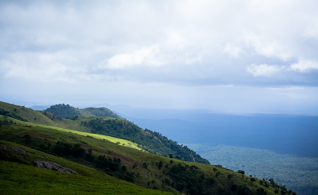 指引球队走 指引球队走