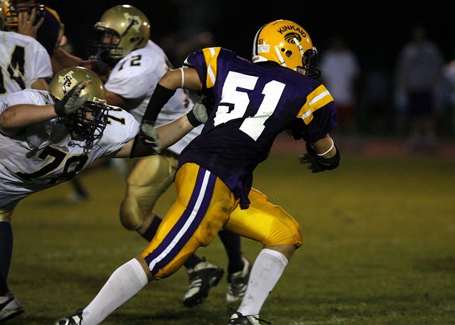 萨的壮举 萨的壮举