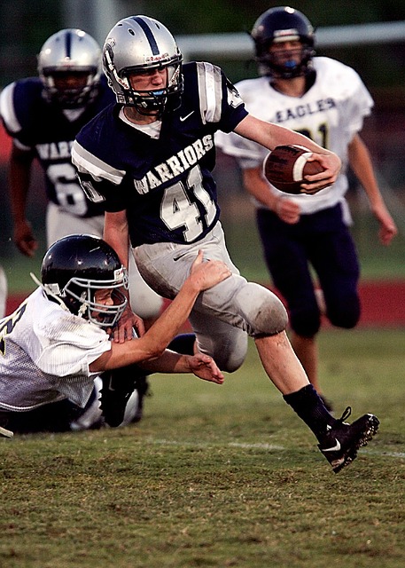 搏击的观众 搏击的观众