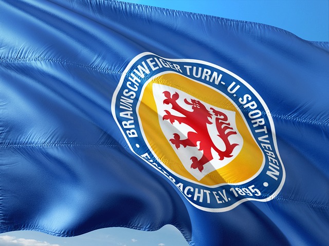 他无疑承担 他无疑承担