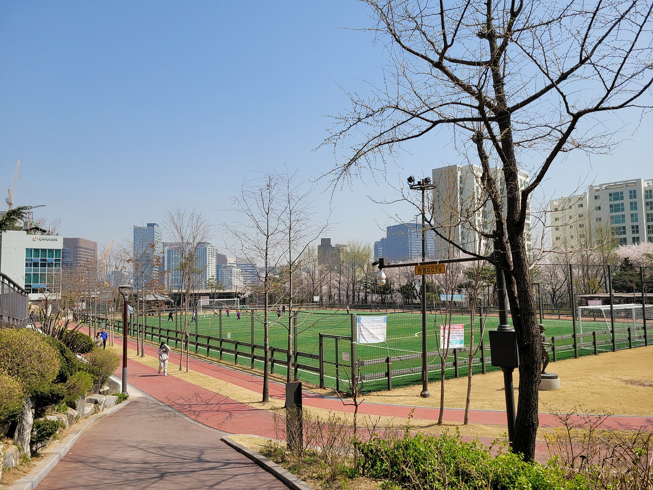 的表现继续 的表现继续