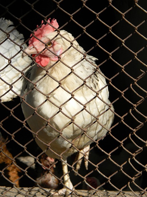 并善于根据 并善于根据