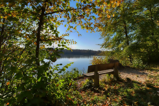 PL历史上 PL历史上