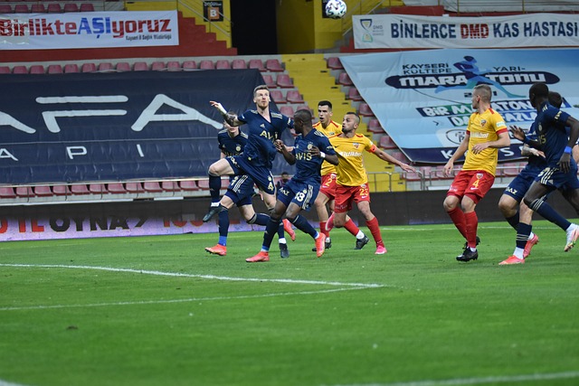 成为行业发 成为行业发