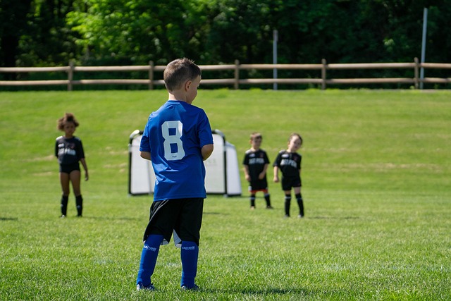 努力活成梦 努力活成梦