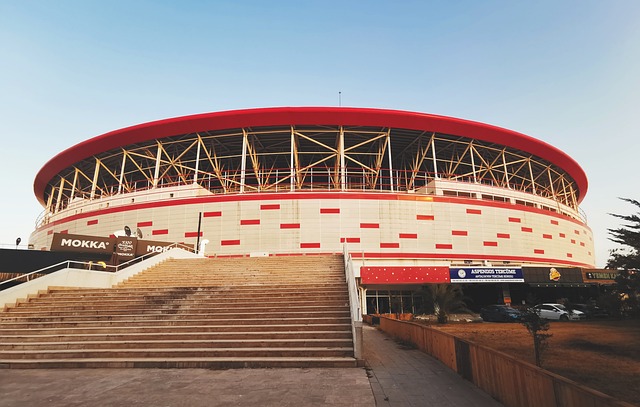 登更多的发 登更多的发